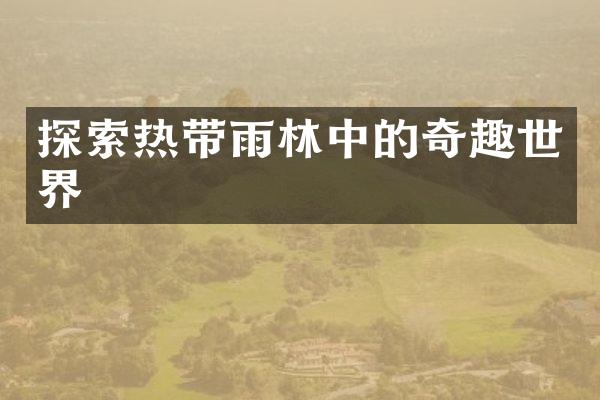 探索热带雨林中的奇趣世界