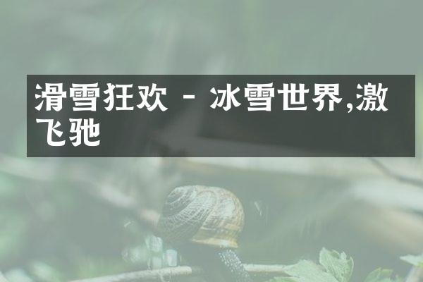 滑雪狂欢 - 冰雪世界,激情飞驰
