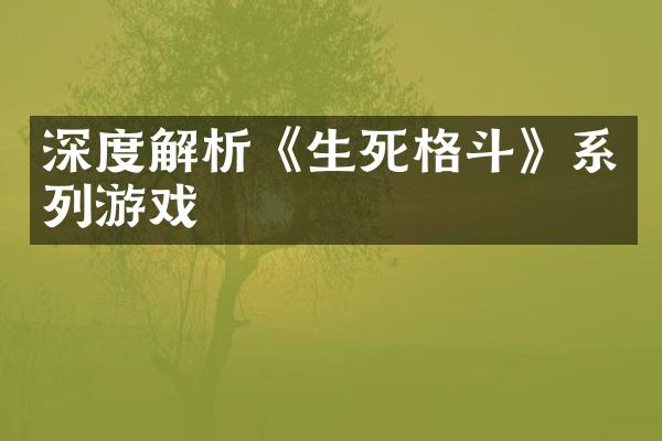 深度解析《生死格斗》系列游戏