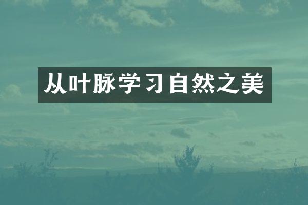 从叶脉学习自然之美