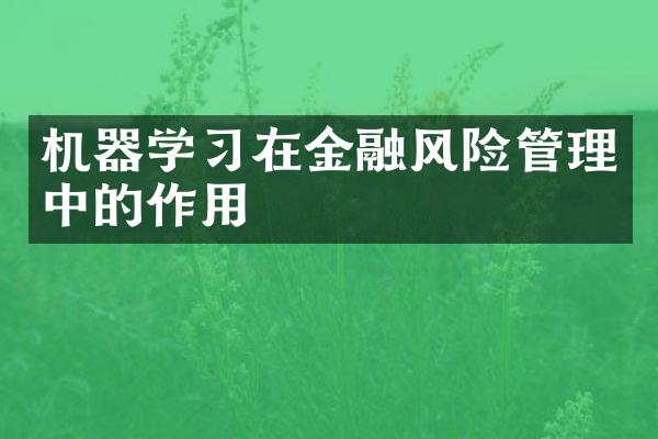 机器学习在金融风险管理中的作用