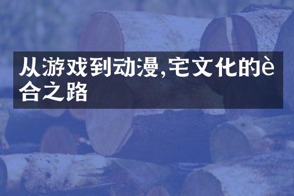 从游戏到动漫,宅文化的融合之路
