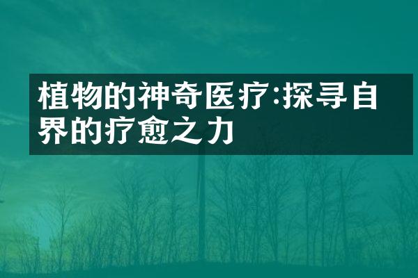 植物的神奇医疗:探寻自然界的疗愈之力
