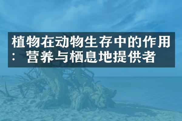 植物在动物生存中的作用：营养与栖息地提供者