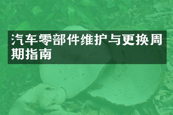 汽车零部件维护与更换周期指南