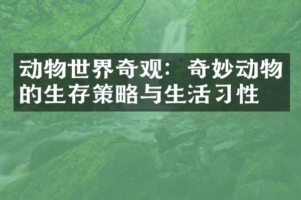 动物世界奇观：奇妙动物的生存策略与生活习性