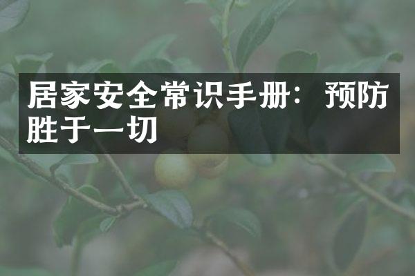 居家安全常识手册：预防胜于一切
