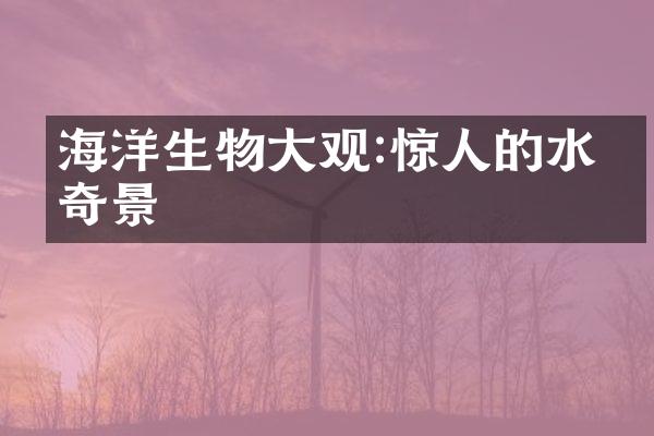 海洋生物大观:惊人的水下奇景
