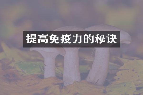 提高免疫力的秘诀