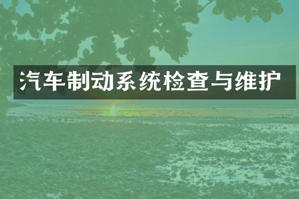 汽车制动系统检查与维护