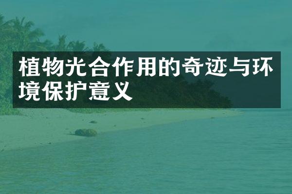植物光合作用的奇迹与环境保护意义