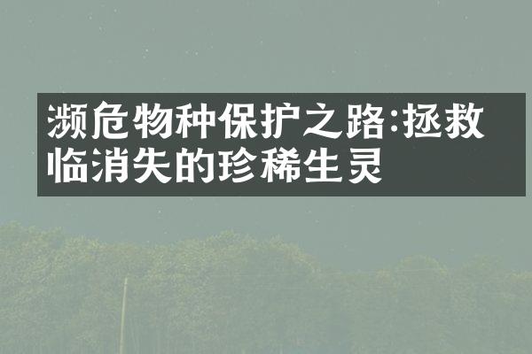 濒危物种保护之路:拯救濒临消失的珍稀生灵