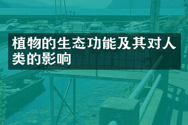 植物的生态功能及其对人类的影响