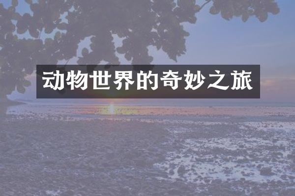 动物世界的奇妙之旅