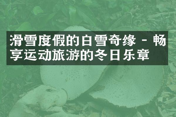 滑雪度假的白雪奇缘 - 畅享运动旅游的冬日乐章