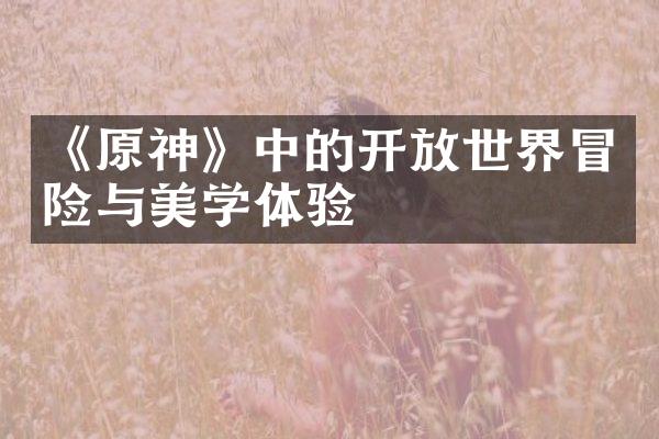 《原神》中的开放世界冒险与美学体验