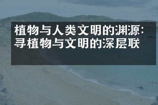 植物与人类文明的渊源:探寻植物与文明的深层联系