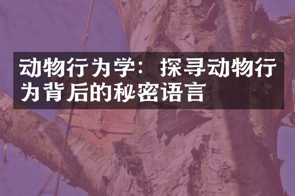 动物行为学：探寻动物行为背后的秘密语言