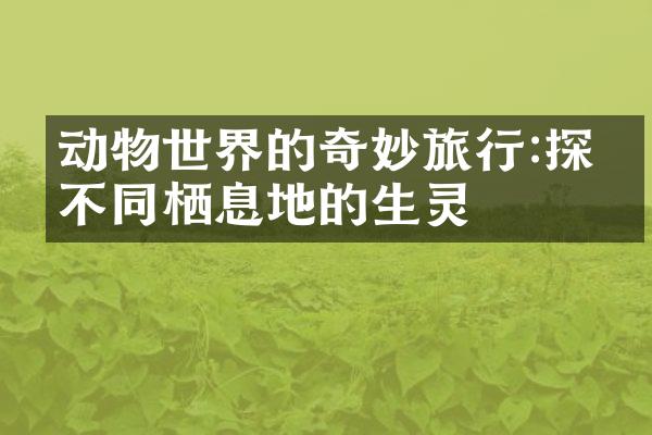 动物世界的奇妙旅行:探索不同栖息地的生灵