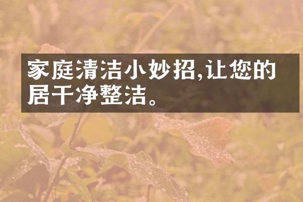 家庭清洁小妙招,让您的家居干净整洁。