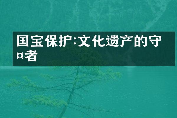 国宝保护:文化遗产的守护者