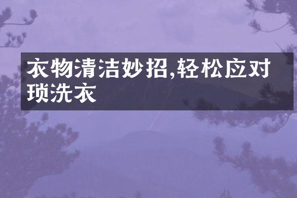 衣物清洁妙招,轻松应对繁琐洗衣