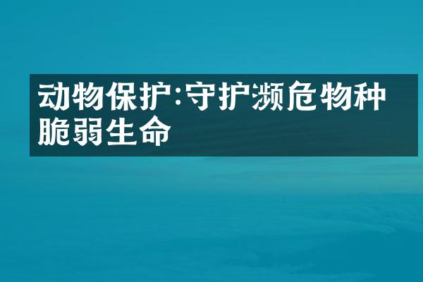 动物保护:守护濒危物种的脆弱生命