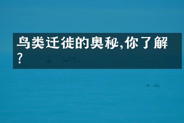 鸟类迁徙的奥秘,你了解吗?