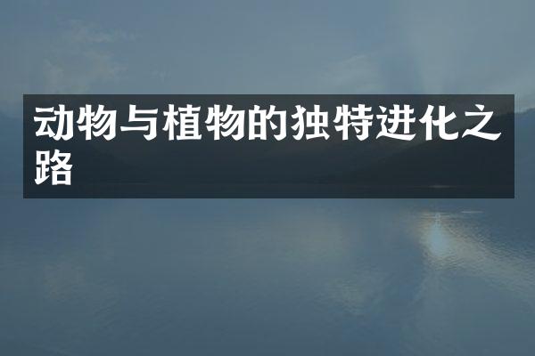 动物与植物的独特进化之路