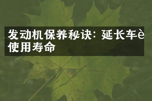 发动机保养秘诀: 延长车辆使用寿命