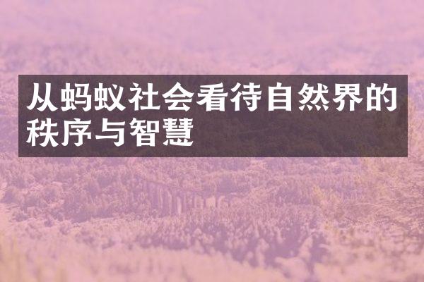 从蚂蚁社会看待自然界的秩序与智慧