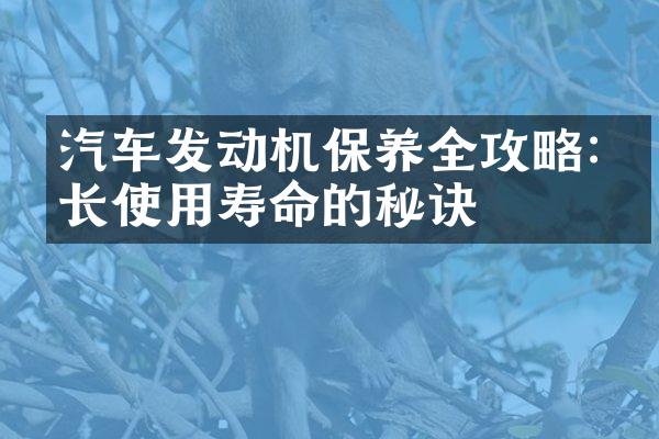 汽车发动机保养全攻略:延长使用寿命的秘诀