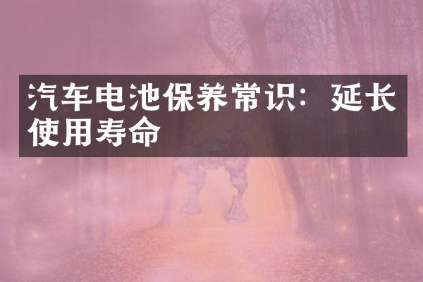 汽车电池保养常识：延长使用寿命
