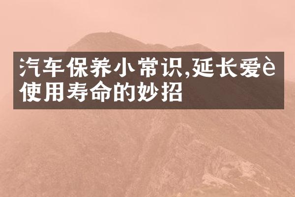 汽车保养小常识,延长爱车使用寿命的妙招