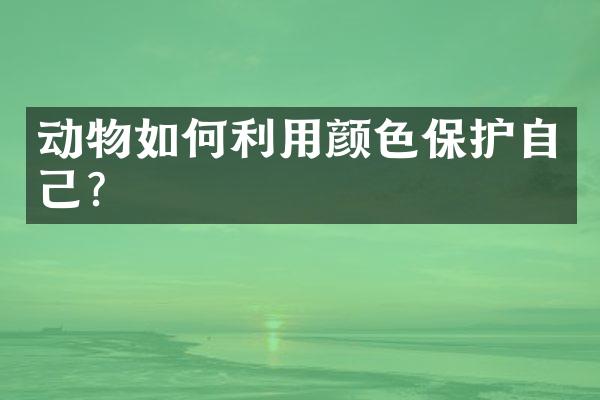 动物如何利用颜色保护自己?