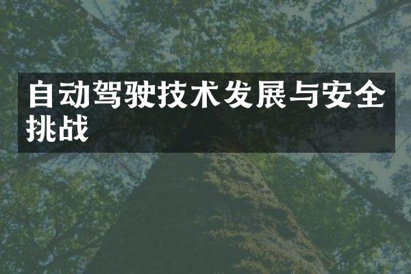 自动驾驶技术发展与安全挑战