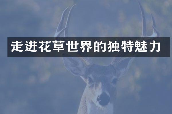 走进花草世界的独特魅力