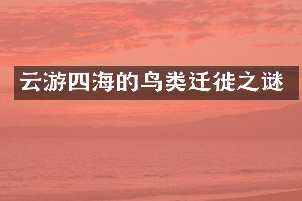 云游四海的鸟类迁徙之谜