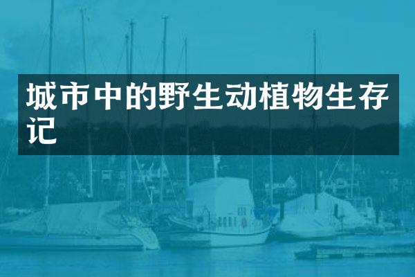 城市中的野生动植物生存记