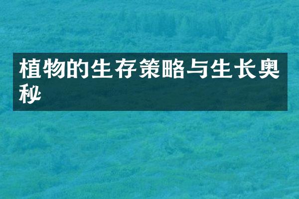 植物的生存策略与生长奥秘
