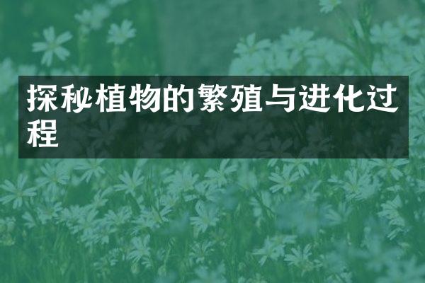 探秘植物的繁殖与进化过程