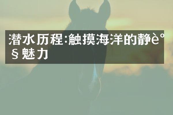 潜水历程:触摸海洋的静谧魅力