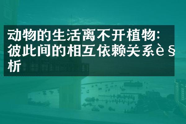 动物的生活离不开植物：彼此间的相互依赖关系解析