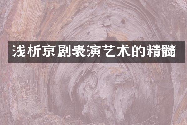 浅析京剧表演艺术的精髓