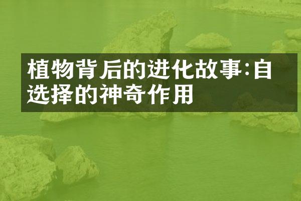 植物背后的进化故事:自然选择的神奇作用