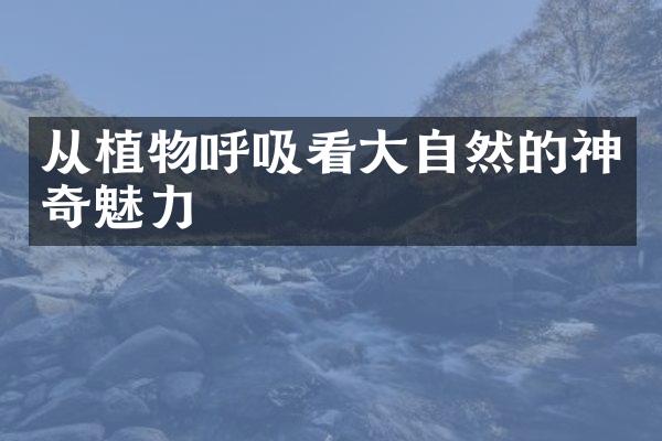 从植物呼吸看大自然的神奇魅力