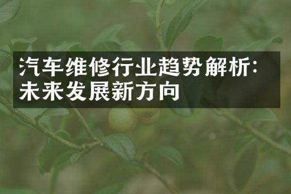 汽车维修行业趋势解析：未来发展新方向