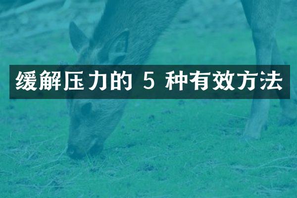 缓解压力的 5 种有效方法