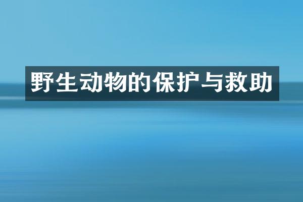 野生动物的保护与救助