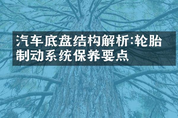 汽车底盘结构解析:轮胎、制动系统保养要点